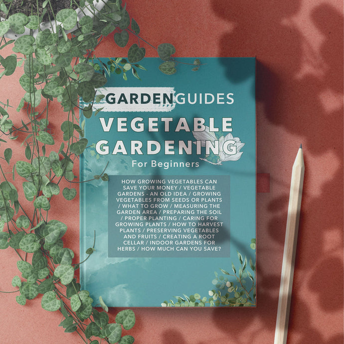 Vegetable Gardening For Beginners